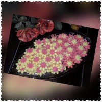 شیرینی گل مینا