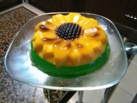 ژله افتابگردان