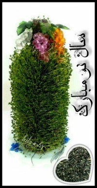 سبزه سال ۹۵