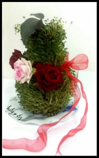 سبزه سال ۹۵