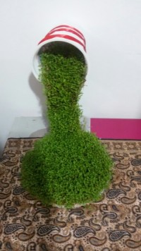 سبزه عید