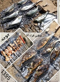 ماهی کباب با مرکبات