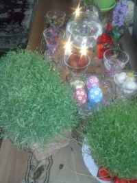 سفره هفت سین 95