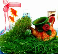 سبزه هفت سین من