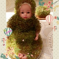 سبزه عروسکی (۹۴)