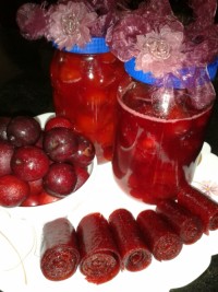 ترشی ولواشک آلوچه جنگلی