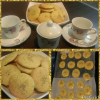 بیسکوییت پسته ای