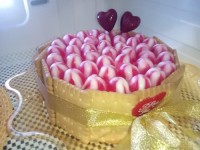 دسر یخ در بهشت با تزیینات ویژه یخچال عروس