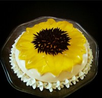 پاناکوتا و ژله