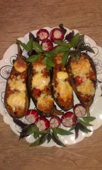 ﺑﺎﺩﻣﺠﻮﻥ ﺷﻜﻢ ﭘﺮ