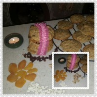 کوکی جو و میوه های خشک