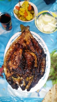 ماهی کپور کبابی