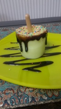 بستنی چوبی پودینگ وانیل