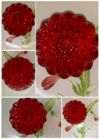 ژله خوشگل و خوشرنگه من