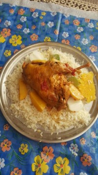 مرغ محلی شکم پر