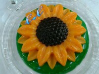 ژله آفتابگردون