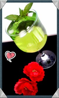 شربت سکنجبین