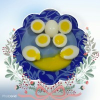 ژله تخم مرغی ۲