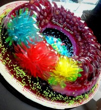 ژله تزریقی و دونه انگور یاقوتی