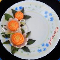 دورچین غذا