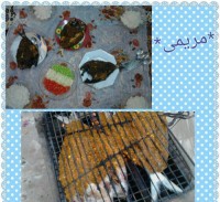 ماهی صبور
