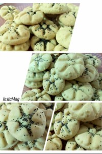 بیسکوییت شرت برد برنجی