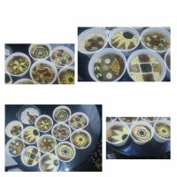 آش رشته من برای اولین بار