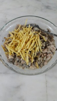 چیکی استراگانوف