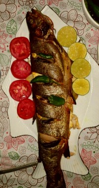 ماهی غزل الا