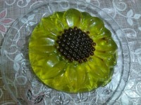 ژله افتابگردان