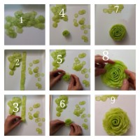 گل رز با خیار