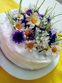 کیک نیمه عریان