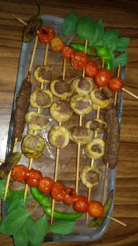 کباب نگینی تو توستر