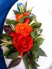 دورچین ماهی