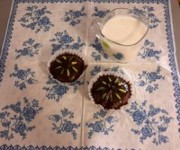 سس شکلات (هات فاج)