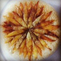 کته در پلوپز