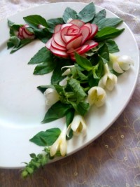 دورچین غذا