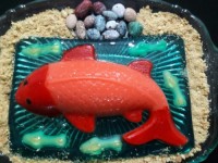 ژله ماهی تپلوی من تقدیم به دوستان خوبم