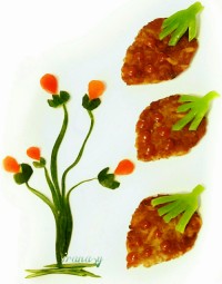 کتلت گوشت