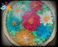 ژله تزریقی2