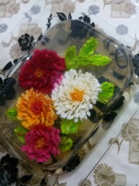 ژله تزریقی2