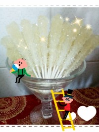 نبات چوبی