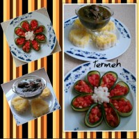 قورمه سبزی و سالاد شیرازی