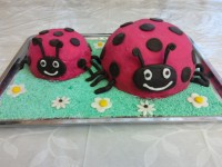 کیک تولدم با تم کفشدوزک