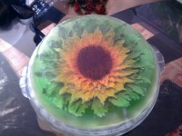 ژله گل آفتابگردون