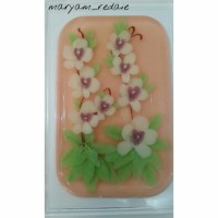 سفارش امروزم