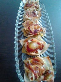 مینی جام لازانیا