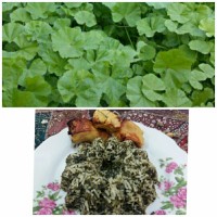 پلو توله با جوجه کباب