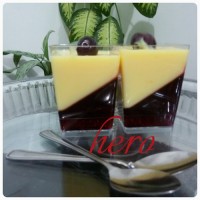 ژله شاتوت وکاسترد