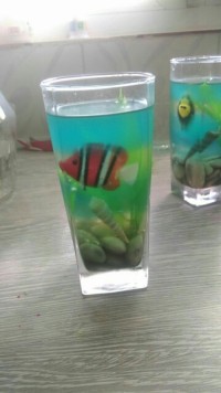 ژله ی اقیانوسی